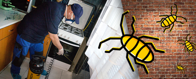 Csótányirtás Dunaújváros, Paks és Székesfehérvár környezetében.Csótányok irtása Fejér megyében. Részletes ismertető a csótányokról. www.bugzero.hu