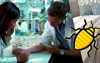 BugZero - Egészségügyi kártevőirtás