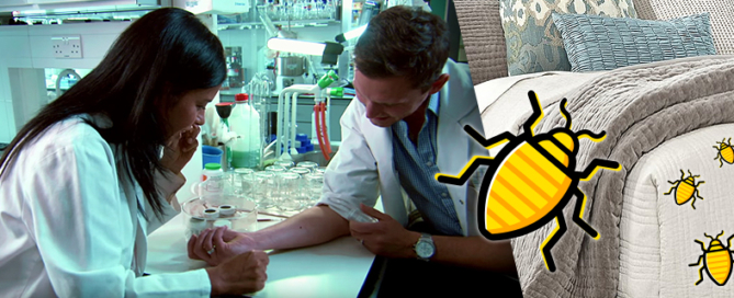 BugZero - Egészségügyi kártevőirtás