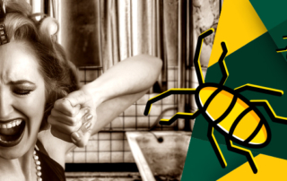 Csótányirtás Dunaújváros, Paks és Székesfehérvár környezetében.Csótányok irtása Fejér megyében.