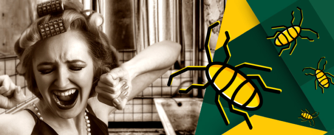 Csótányirtás Dunaújváros, Paks és Székesfehérvár környezetében.Csótányok irtása Fejér megyében.