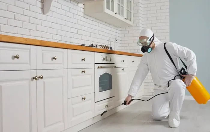 Rovarirtó szakember védőruhában permetezőgéppel hangyairtást végez egy konyhában - hatékony hangyairtás szolgáltatás a Bugzero -tól.
