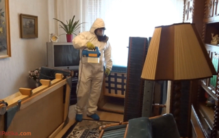 Ágyi poloska, poloskairtás-BugZero kártevőirtás, rovarirtás