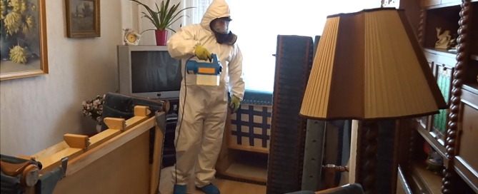 Ágyi poloska, poloskairtás-BugZero kártevőirtás, rovarirtás