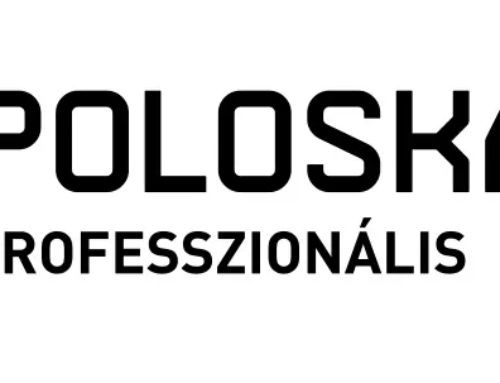 Ágyi poloska irtás Dunaújvárosban és Budapesten – Professzionális megoldások a Poloskastoptól