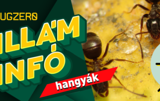 hangya villám infó